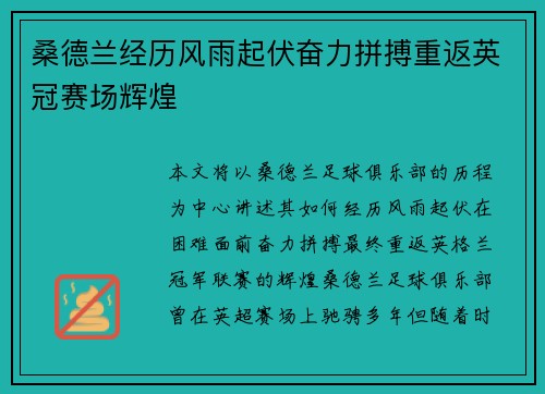 桑德兰经历风雨起伏奋力拼搏重返英冠赛场辉煌 桑德兰经历风雨起伏奋力拼搏重返英冠赛场辉煌